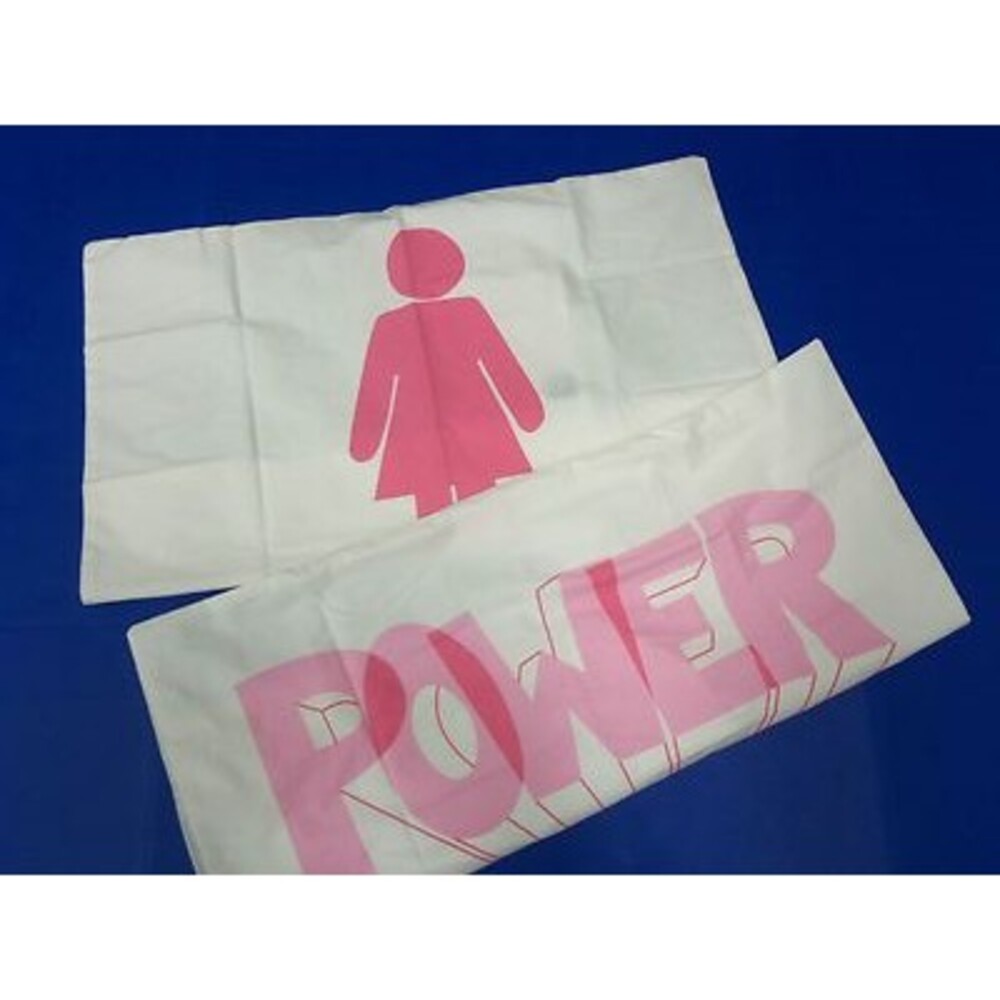 2 Pottery Barn Teen Say What Bed Dorm Pillow Sham Standard Pink Girl Power